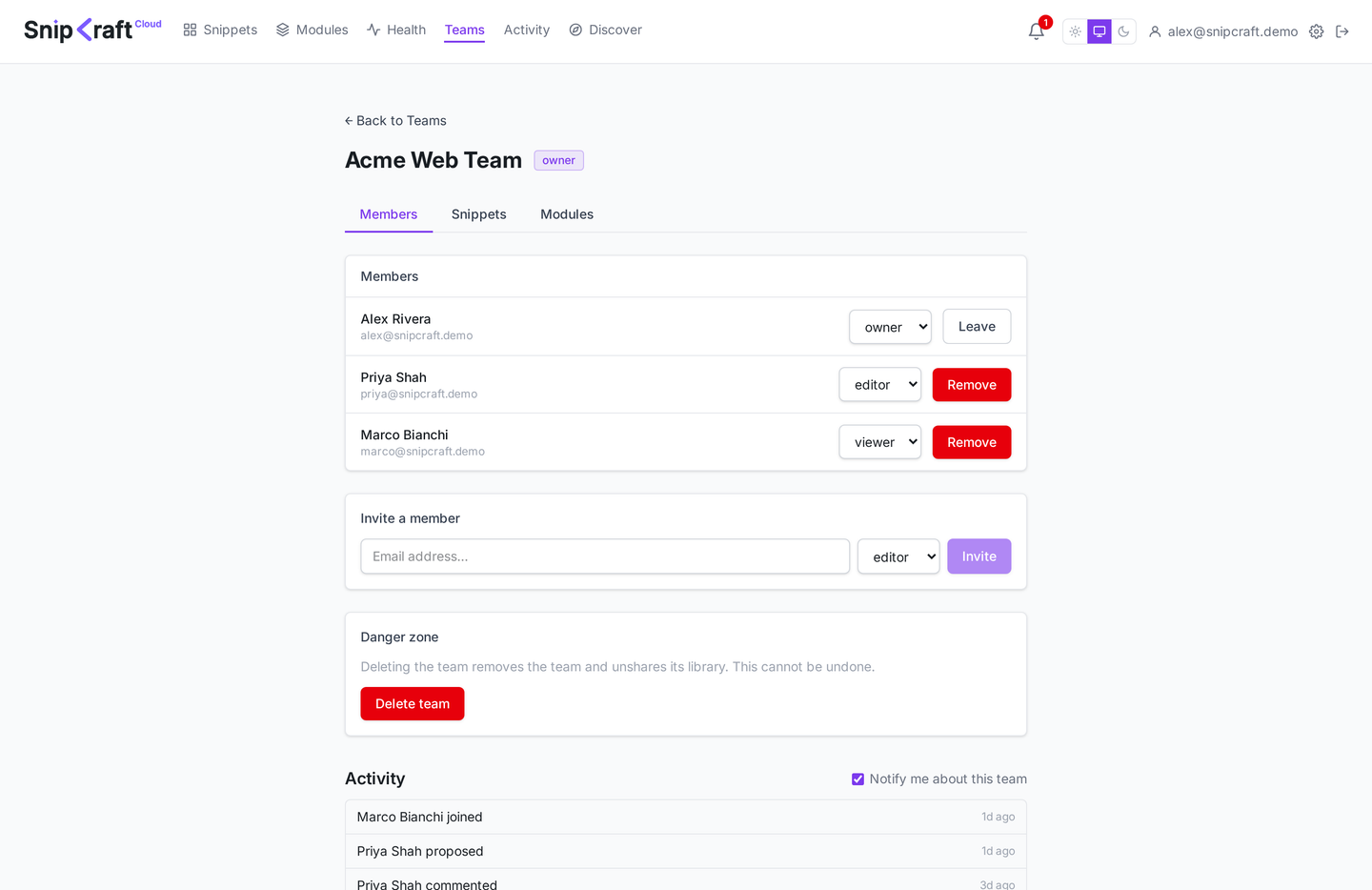A team detail page listing members with owner, editor, and viewer roles and an activity feed