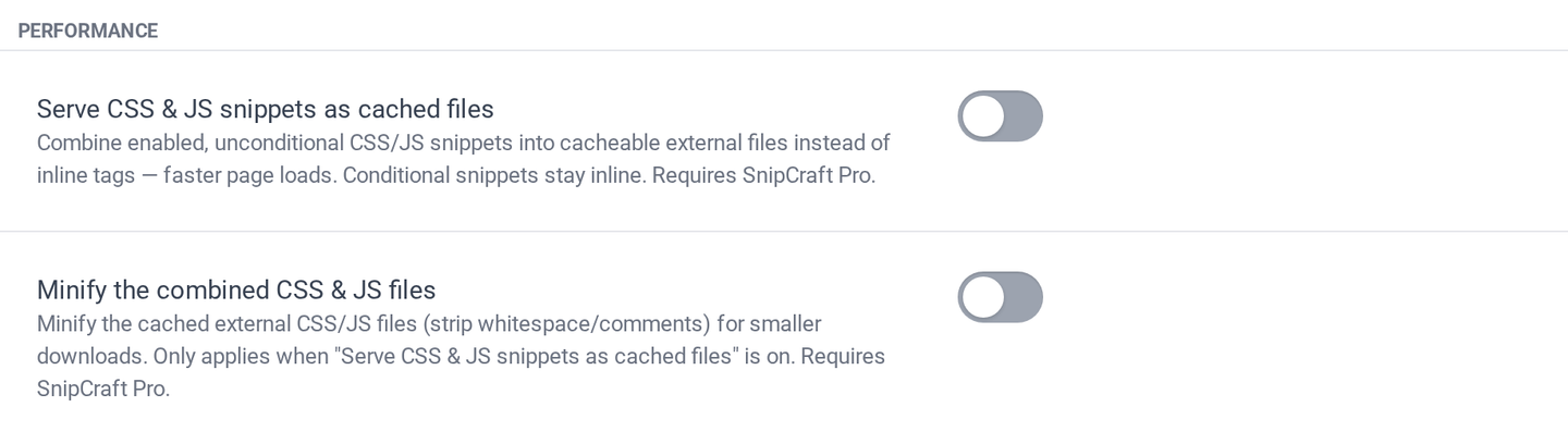 The Performance settings group with cached-files and minify toggles